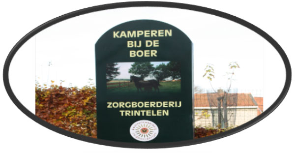 Boerderijcamping Trintelen