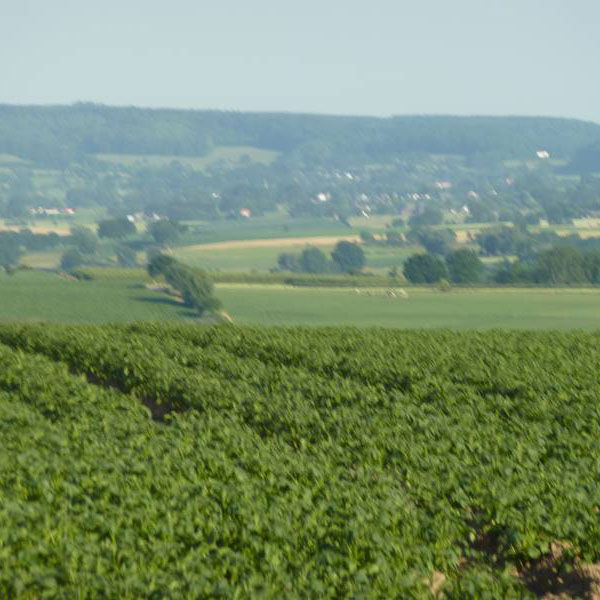 camping-trintelen-17